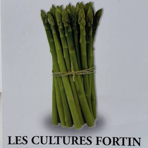 Porte Bateau Combo