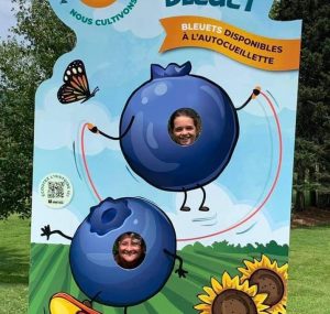 20210721_bleutiere_de_la_chaudiere_-_credit_photo_bleuetiere_de_la_chaudiere.jpg__717x680_q75_crop_subsampling-2