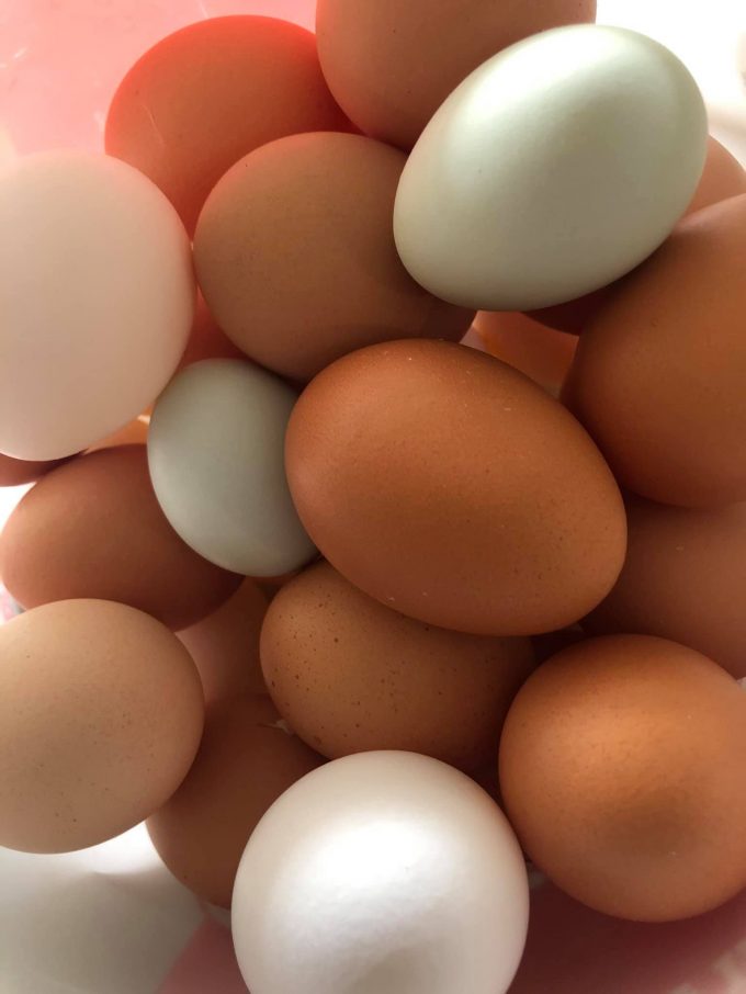oeufs