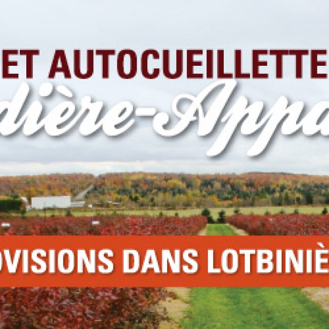 Vendange et autocueillette d’automne
