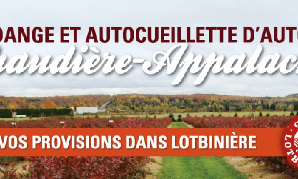 Vendange et autocueillette d’automne
