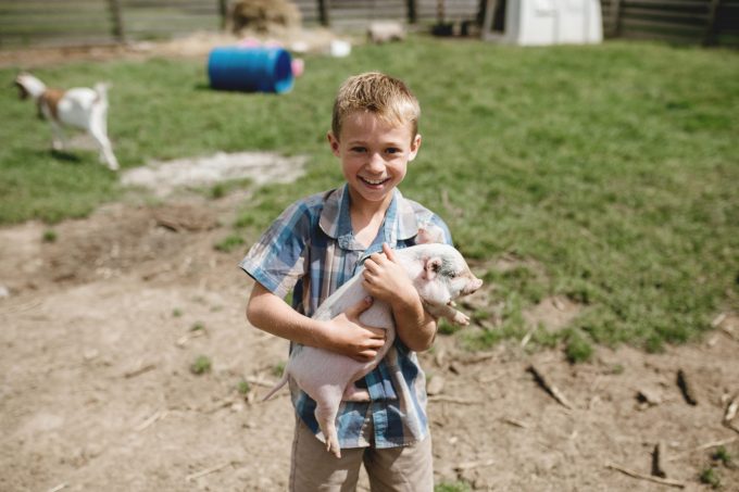 La Vallée Bleue - Distillerie 