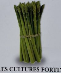 Cultures Fortin Inc. (Les)