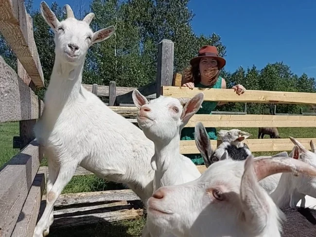 Nous sommes… Les plaines