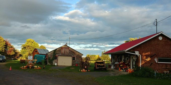 Kiosque Marjolaine R. Roy