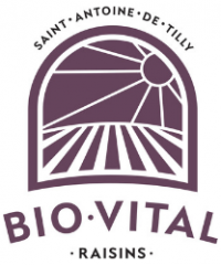 RAISINS BIO.VITAL
