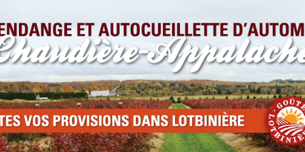 Vendange et autocueillette d&rsquo;automne