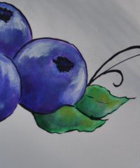 Bleuetière de La Chaudière