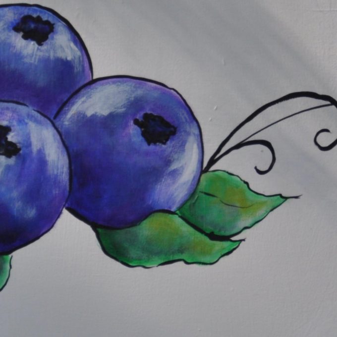 Bleuetière de La Chaudière