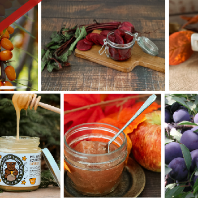 L’heure du bilan pour Goûtez Lotbinière