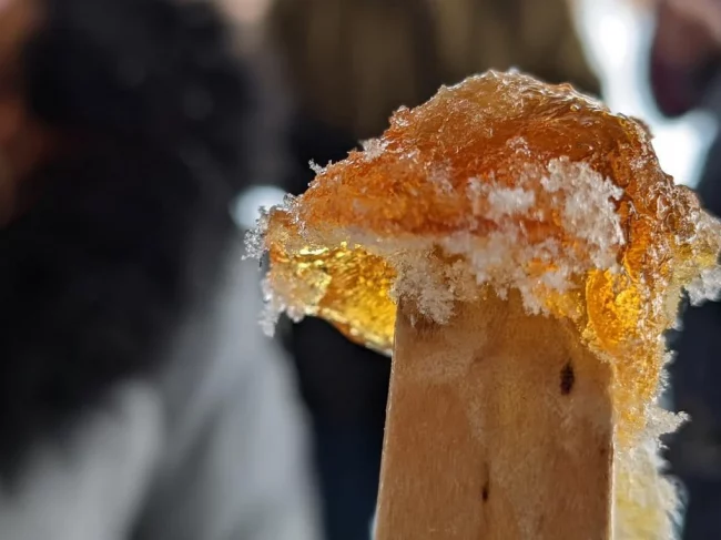 Sortie du temps des sucres