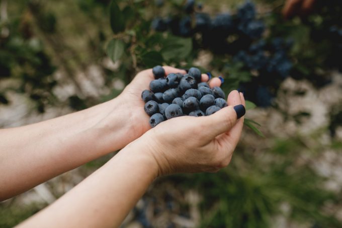 La Vallée Bleue - Distillerie 