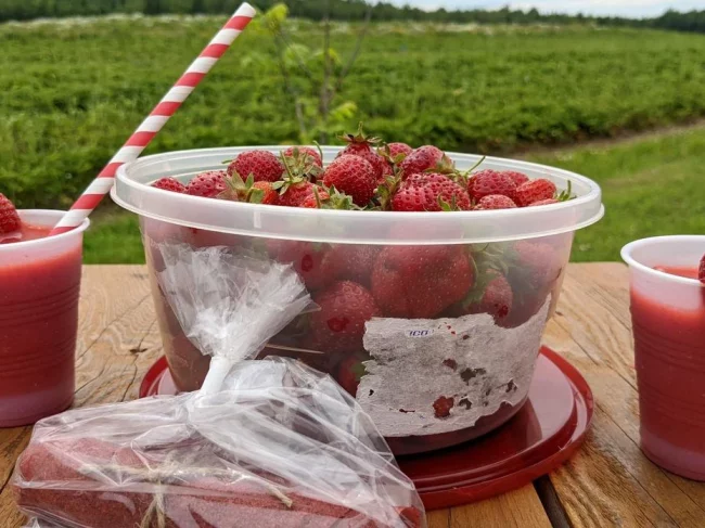 L’expérience Matto-Val