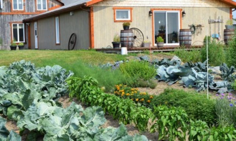 Manger local : pourquoi et comment ?