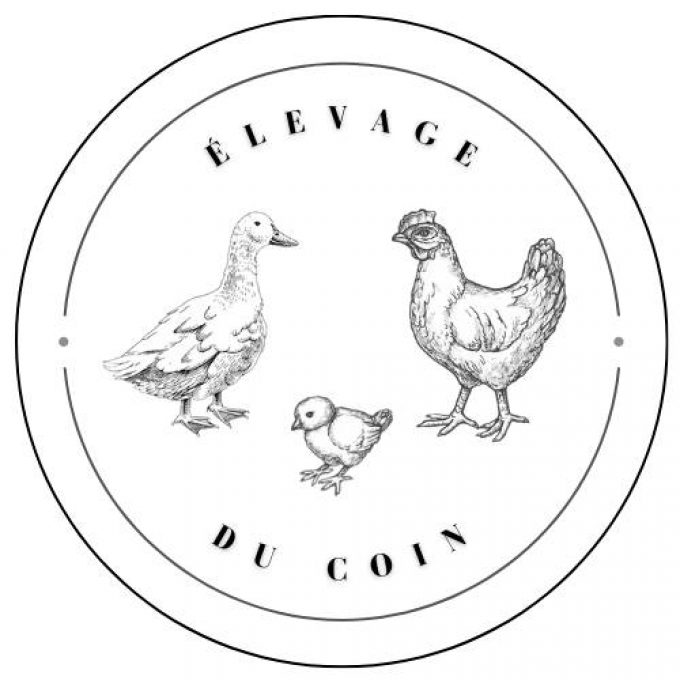 Élevage du coin