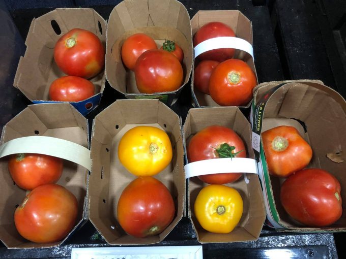 tomates