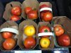 tomates