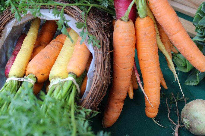Carottes