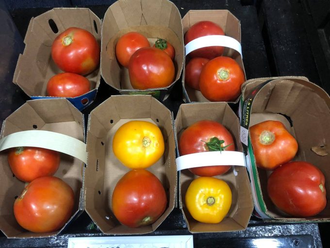 tomates