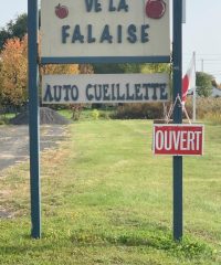 Verger de la Falaise