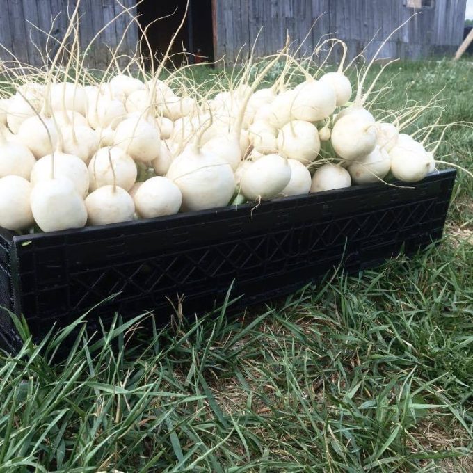 Légumes