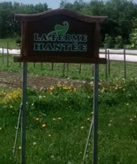 Ferme Hantée