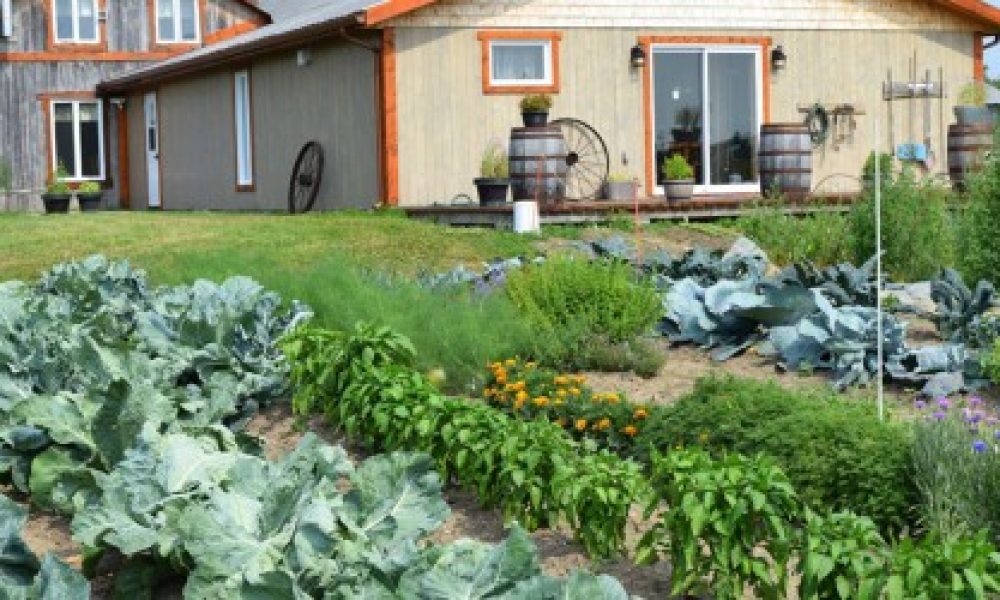 Manger local : pourquoi et comment ?